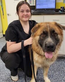 Lauren Bonds - Veterinary Technician in Monroe LA at McClendon Veterinary Clinic